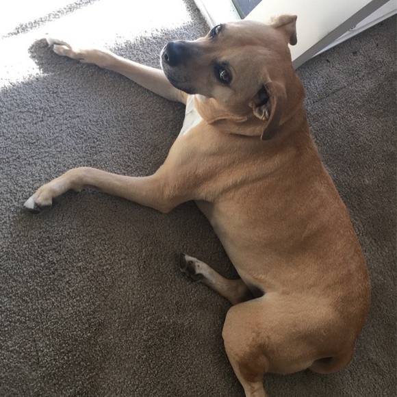 Meet your Posher, Tati - Picture 10 of 10